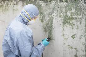 Best Industrial Mold Remediation  in Sandy Hook, CT